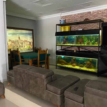 Odrys & 3* Tekirdağ