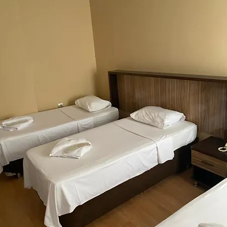 Hotel Odrys &