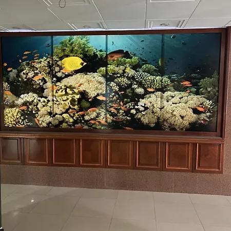 Odrys & Hotel