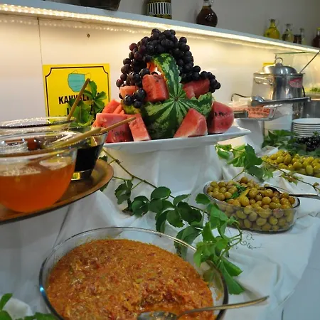 Hotel Odrys &