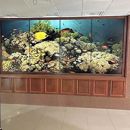 Hotel Odrys &