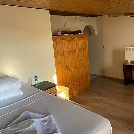 Hotel Odrys &