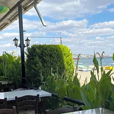 Hotel Odrys &