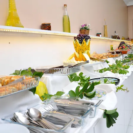 Hotel Odrys &